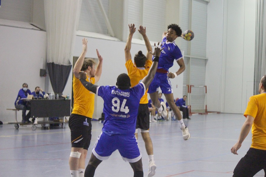 BCS - Pays d'Auray 111220210083